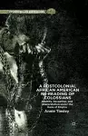 A Postcolonial African American Re-reading of Colossians cover