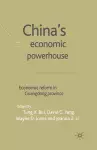 China's Economic Powerhouse cover