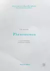 The Memory Phenomenon in Contemporary Historical Writing cover