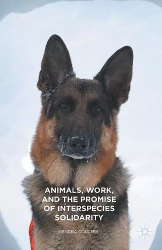 Animals, Work, and the Promise of Interspecies Solidarity cover