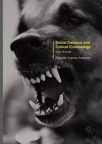 Social Censure and Critical Criminology cover