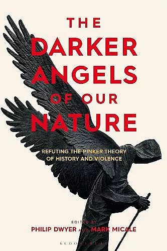 The Darker Angels of Our Nature cover