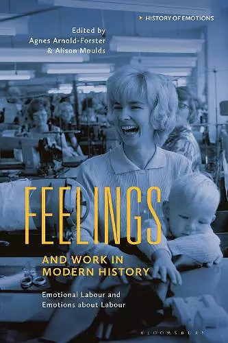 Feelings and Work in Modern History cover