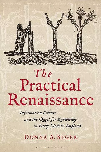 The Practical Renaissance cover