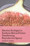 Abortion Ecologies in Southern African Fiction cover