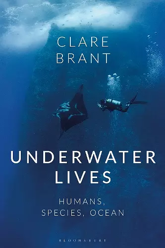 Underwater Lives cover