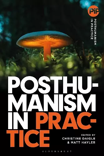 Posthumanism in Practice cover