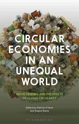 Circular Economies in an Unequal World cover