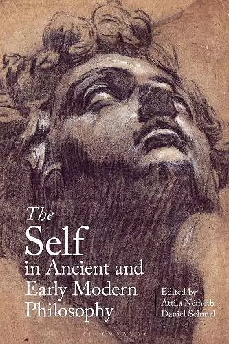The Self in Ancient and Early Modern Philosophy cover