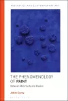 The Phenomenology of Paint cover