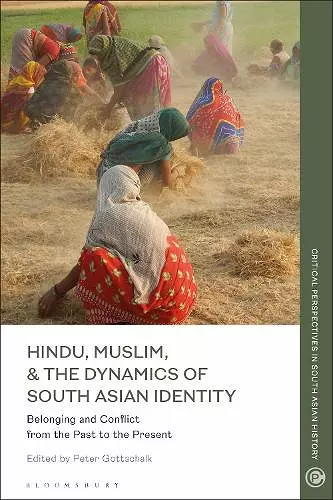 Hindu, Muslim, & the Dynamics of Identity in South Asia cover