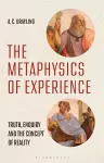 The Metaphysics of Experience cover