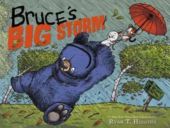 Bruce's Big Storm cover