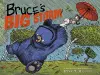 Bruce's Big Storm cover