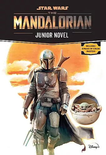 Star Wars: The Mandalorian Junior Novel cover