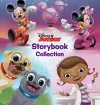 Disney Junior Storybook Collection (refresh) cover