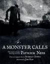 Rollercoasters: A Monster Calls cover
