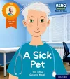 Hero Academy Non-fiction: Oxford Level 1+, Pink Book Band: A Sick Pet cover