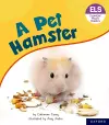 Essential Letters and Sounds: Essential Phonic Readers: Oxford Reading Level 4: A Pet Hamster cover