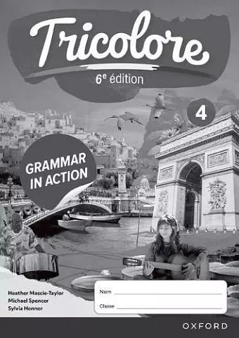 Tricolore 6e édition: 14-16: Grammar in Action Workbook 4 (Pack 0f 8) cover