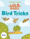 Stories for Maths: Bird Tricks cover