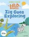 Stories for Maths: Zig Goes Exploring cover