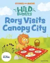 Stories for Maths: Rory Visits Canopy City cover