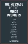 The Message of the Minor Prophets cover