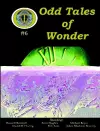 Odd Tales of Wonder #6 cover