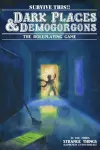 Dark Places And Demogorgons (Soft Cover) cover