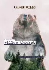 A Place Called Willow Thicket - Soft Cover cover