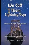 We Call Them Lightning Bugs cover