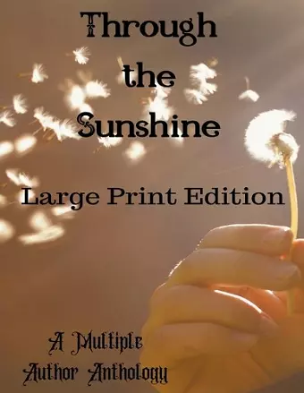 Through the Sunshine Large Print cover