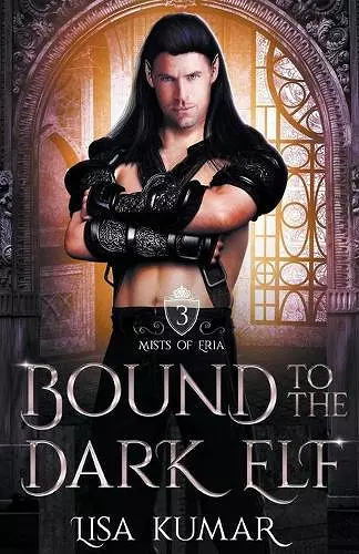 Bound to the Dark Elf cover