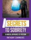 Secrets To Sobriety, A Mindful Approach to Freedom cover