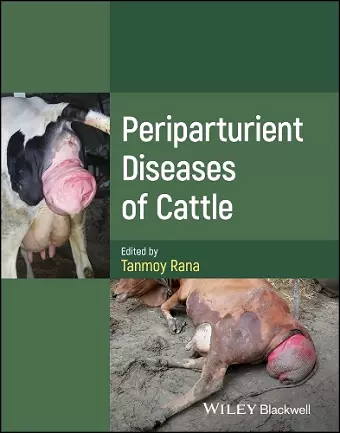 Periparturient Diseases of Cattle cover