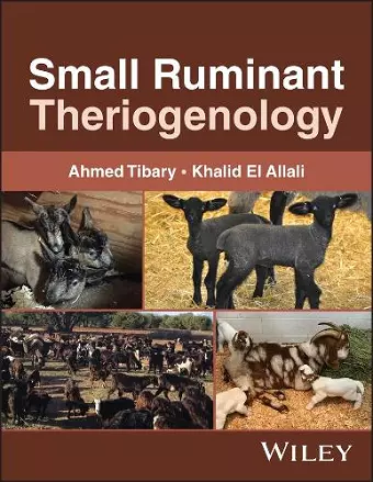 Small Ruminant Theriogenology cover