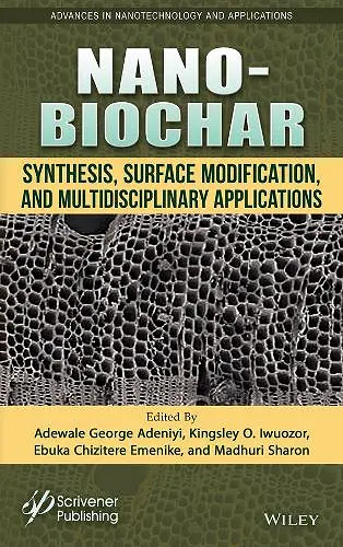 Nano-Biochar cover