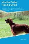 Irish Red Setter Training Guide Irish Red Setter Training Includes cover