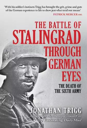 The Battle of Stalingrad Through German Eyes cover