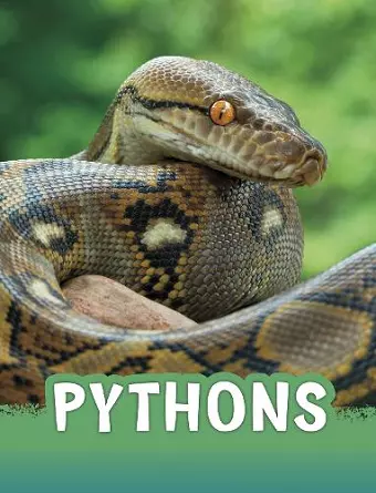 Pythons cover