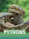 Pythons cover