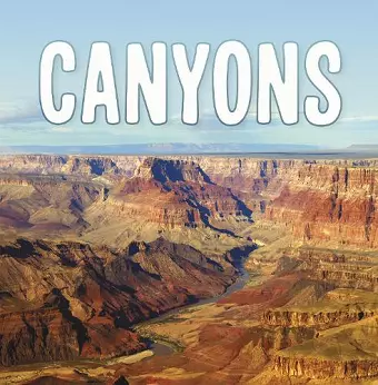 Canyons cover