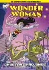 Wonder Woman and The Cheetah Challenge cover