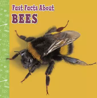 Fast Facts About Bees cover