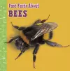 Fast Facts About Bees cover