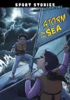 Storm on the Sea cover