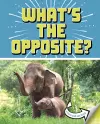 What's the Opposite? cover