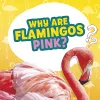 Why Are Flamingos Pink? cover