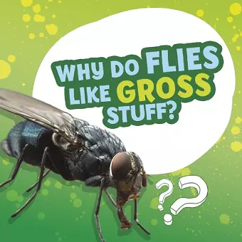 Why Do Flies Like Gross Stuff? cover